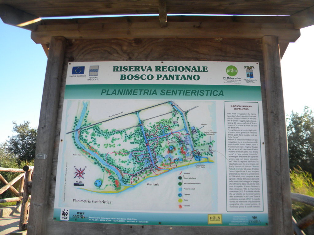 DSCN2601 .JPG